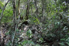 Каскады Semuc Champey — самое фотогеничное место Гватемалы