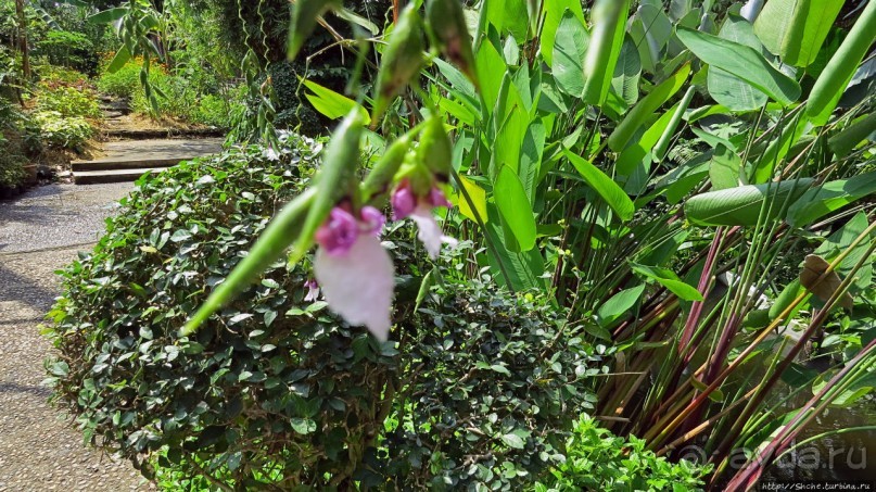 Sampran Riverside: "Тайская культура вживую" и шоу слонов