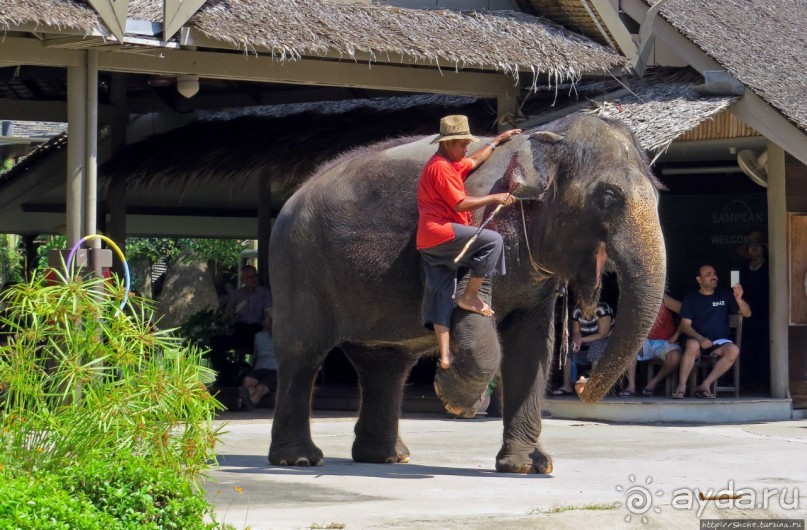 Sampran Riverside: "Тайская культура вживую" и шоу слонов