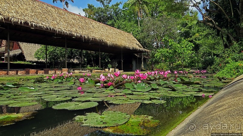 Sampran Riverside: "Тайская культура вживую" и шоу слонов