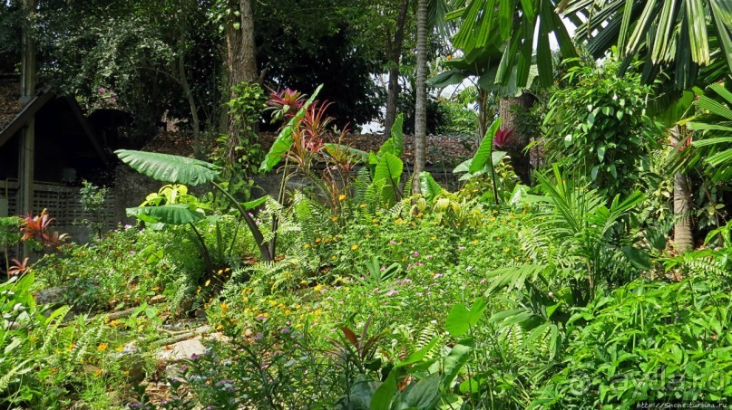 Sampran Riverside: "Тайская культура вживую" и шоу слонов