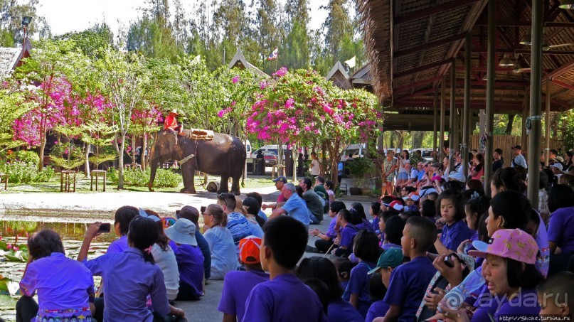 Sampran Riverside: "Тайская культура вживую" и шоу слонов