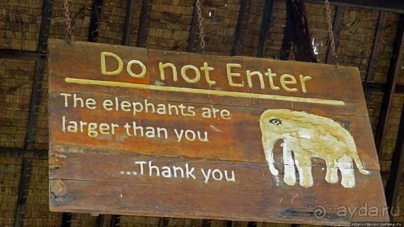 Sampran Riverside: "Тайская культура вживую" и шоу слонов