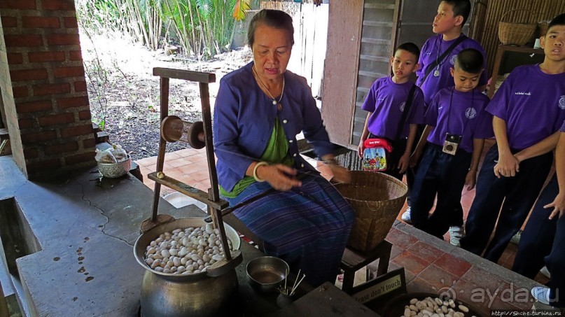 Sampran Riverside: "Тайская культура вживую" и шоу слонов