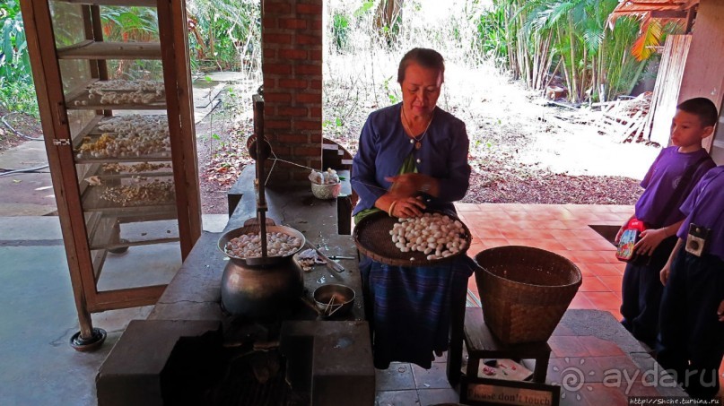 Sampran Riverside: "Тайская культура вживую" и шоу слонов