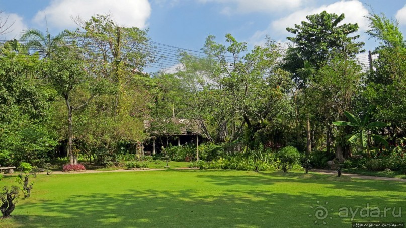 Sampran Riverside: "Тайская культура вживую" и шоу слонов