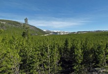 фото Монтаны