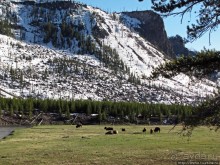 Эхо большого пожара в Йеллоустоуне