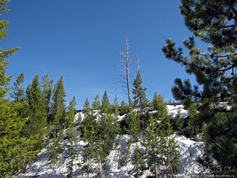 фото Монтаны