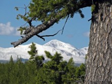 фото Монтаны