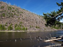 фото Монтаны