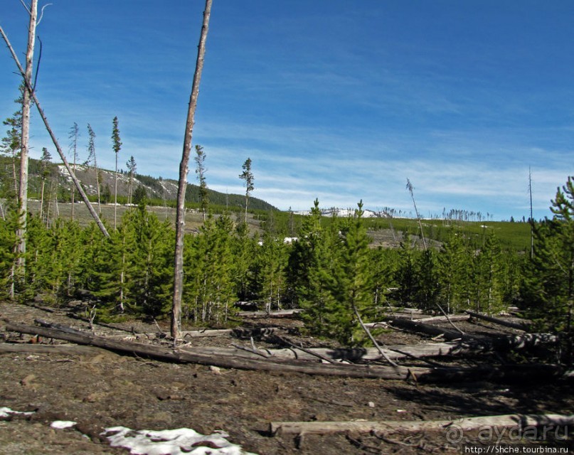 фото Монтаны