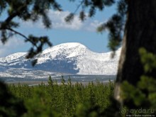 фото Монтаны