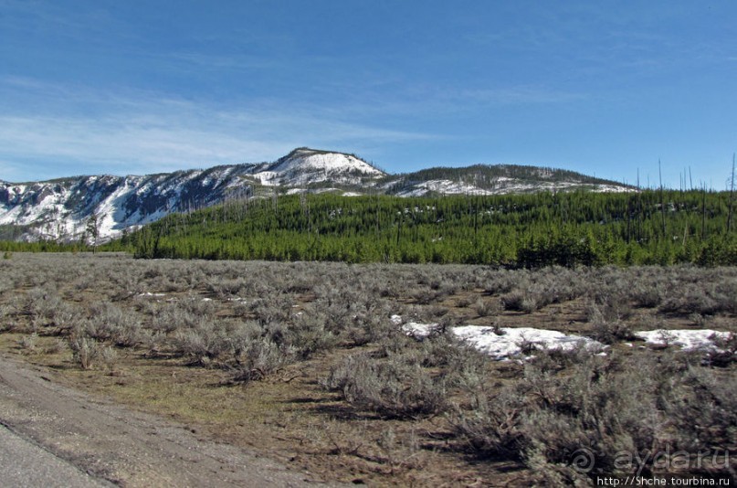 Эхо большого пожара в Йеллоустоуне