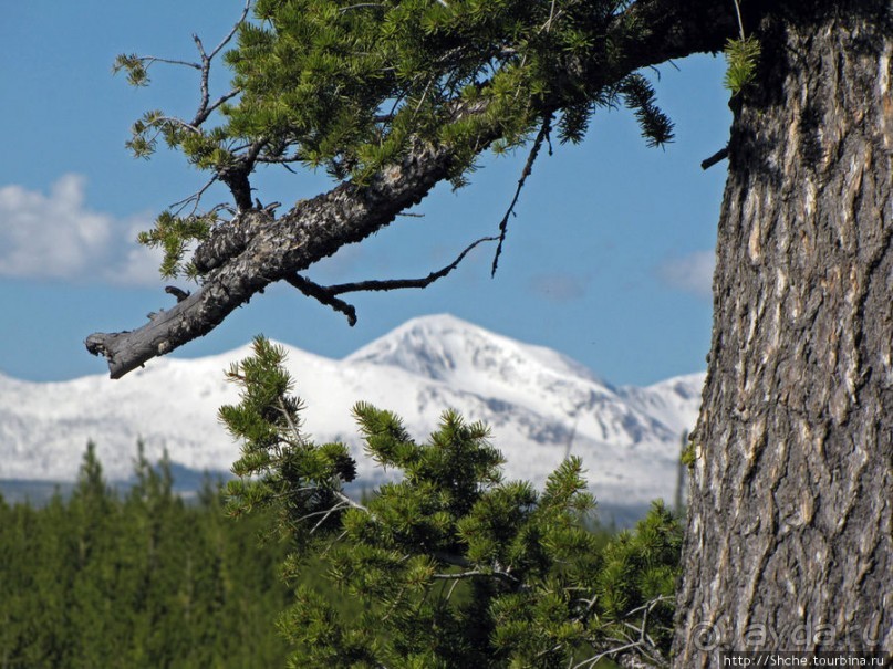 Эхо большого пожара в Йеллоустоуне