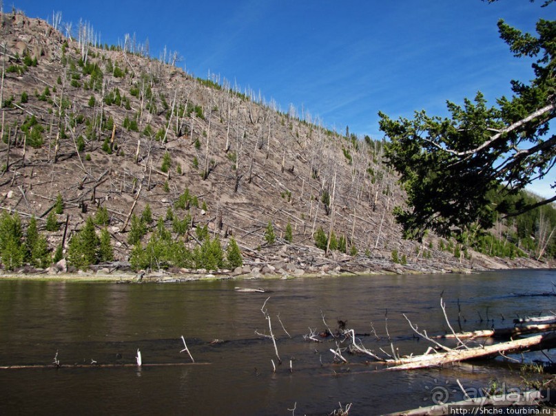 Эхо большого пожара в Йеллоустоуне