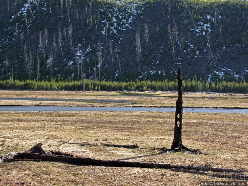 Эхо большого пожара в Йеллоустоуне