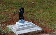 Утраченное кладбище негативизма / Lost Cemetery of Negativism