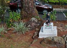 Утраченное кладбище негативизма / Lost Cemetery of Negativism