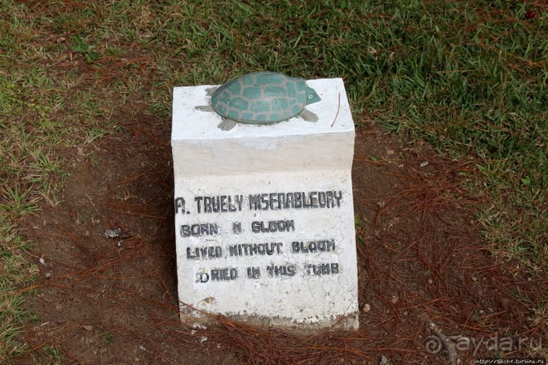 Утраченное кладбище негативизма / Lost Cemetery of Negativism