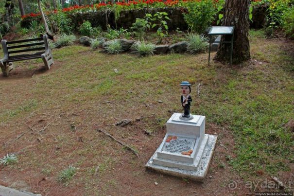 Утраченное кладбище негативизма / Lost Cemetery of Negativism