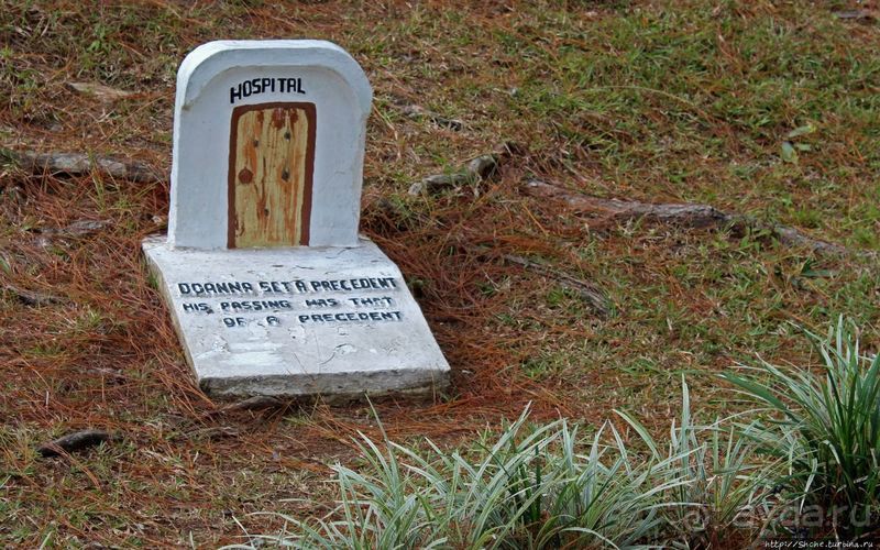 Утраченное кладбище негативизма / Lost Cemetery of Negativism