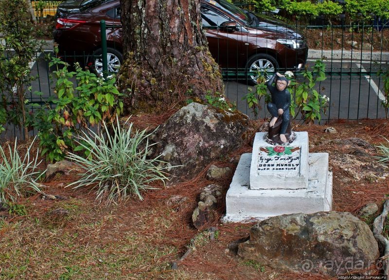 Утраченное кладбище негативизма / Lost Cemetery of Negativism