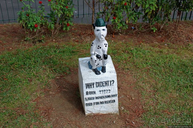 Утраченное кладбище негативизма / Lost Cemetery of Negativism