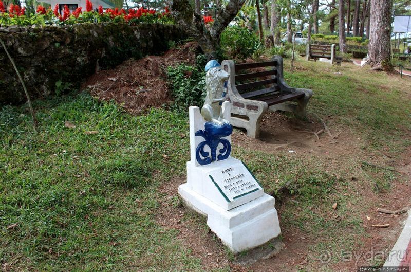 Утраченное кладбище негативизма / Lost Cemetery of Negativism