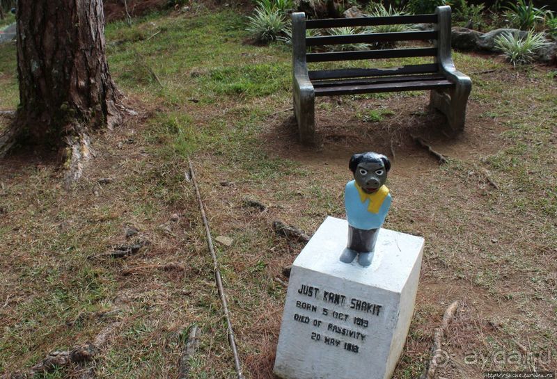 Утраченное кладбище негативизма / Lost Cemetery of Negativism