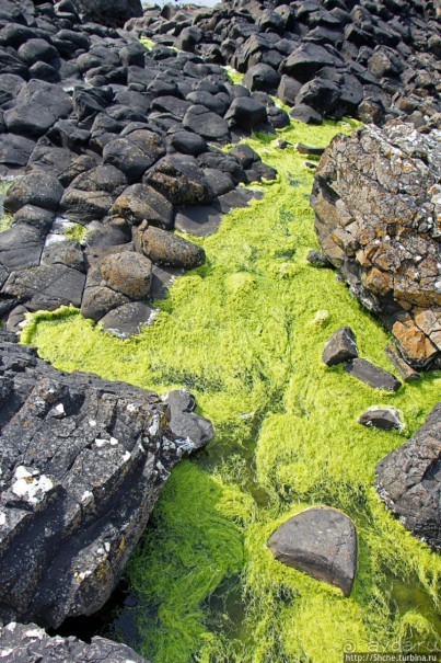 Тропа великана — памятник Всемирного наследия ЮНЕСКО № 369