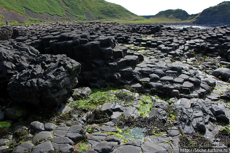 Тропа великана — памятник Всемирного наследия ЮНЕСКО № 369