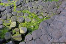 Тропа великана — памятник Всемирного наследия ЮНЕСКО № 369