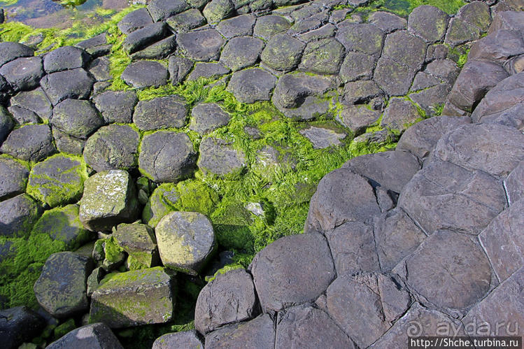 Тропа великана — памятник Всемирного наследия ЮНЕСКО № 369