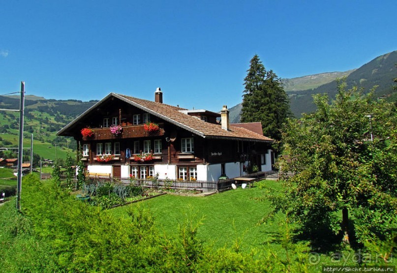 Зеленые Бернские Альпы. На поезде летом