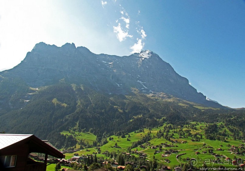 Зеленые Бернские Альпы. На поезде летом