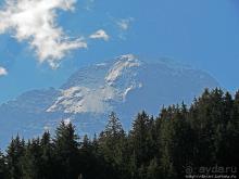 Зеленые Бернские Альпы. На поезде летом
