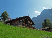 Зеленые Бернские Альпы. На поезде летом