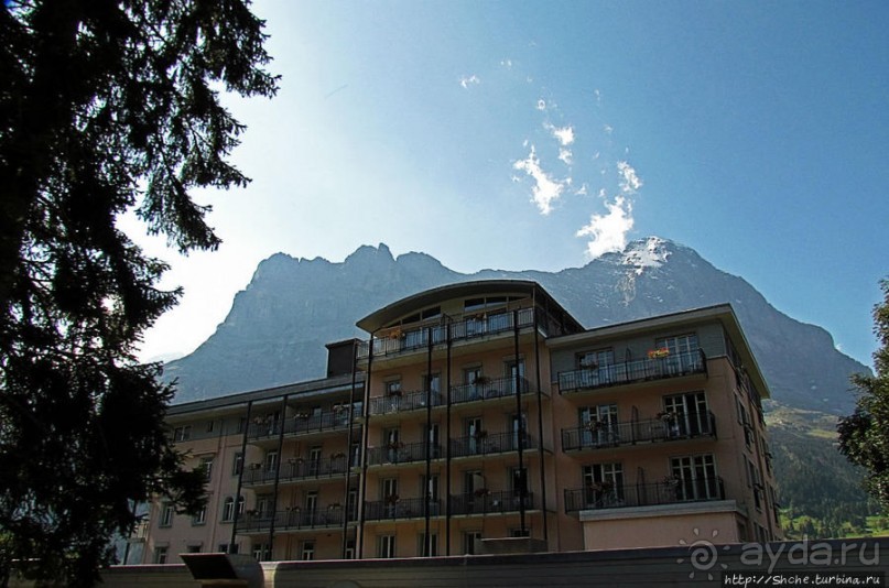 Зеленые Бернские Альпы. На поезде летом