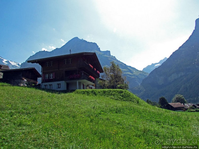 Зеленые Бернские Альпы. На поезде летом