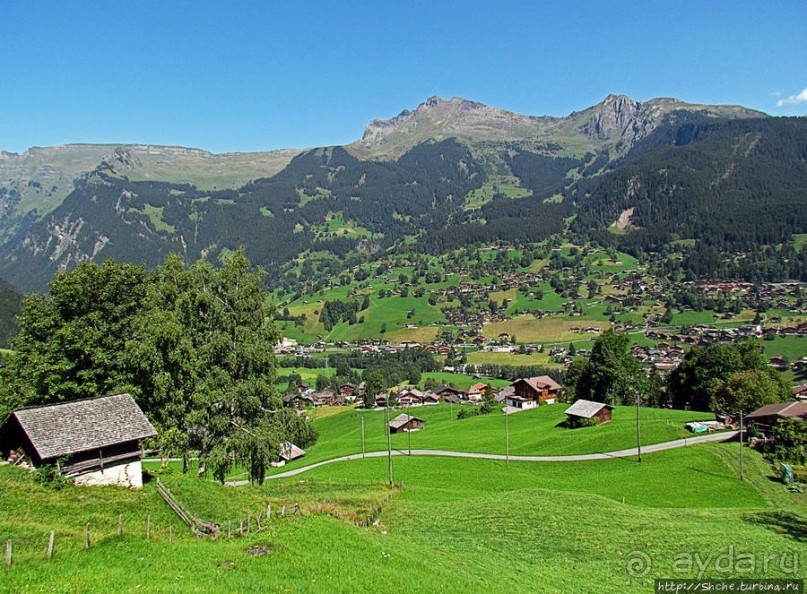 Зеленые Бернские Альпы. На поезде летом