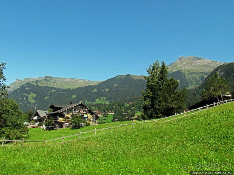 Зеленые Бернские Альпы. На поезде летом