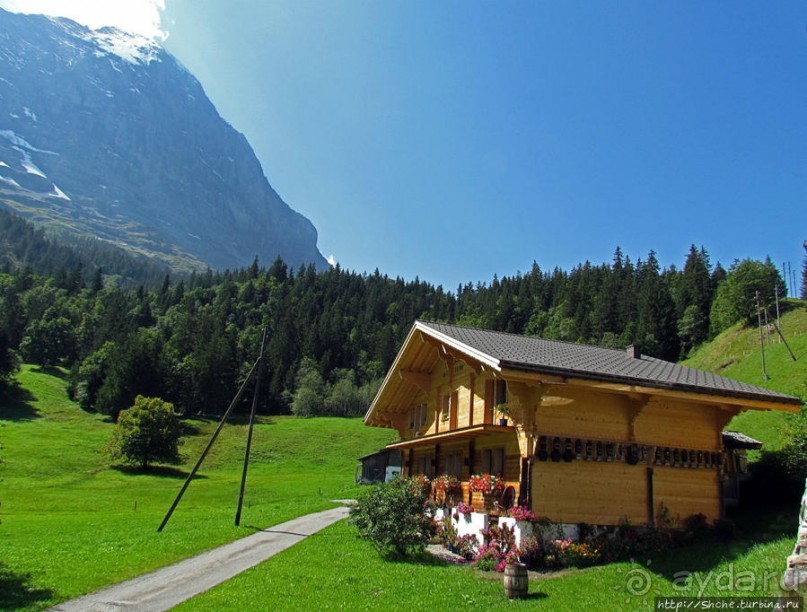 Зеленые Бернские Альпы. На поезде летом