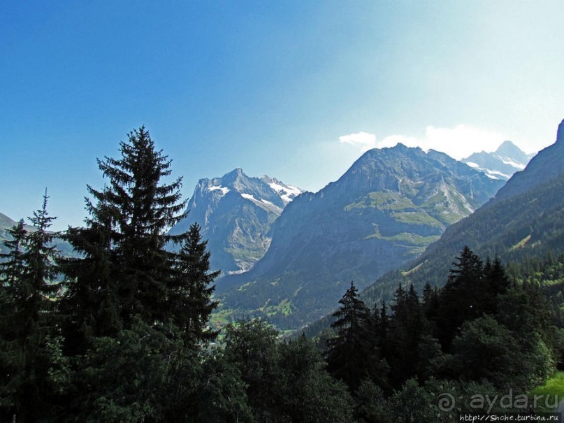 Зеленые Бернские Альпы. На поезде летом