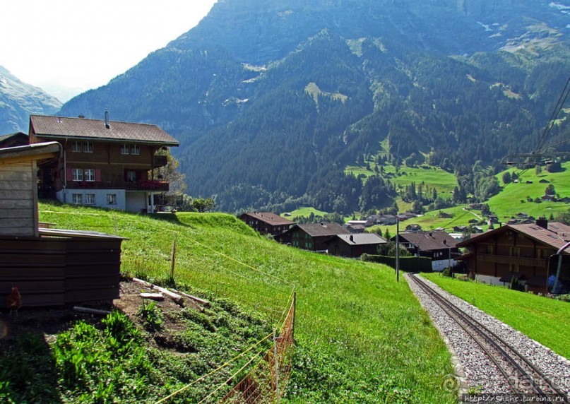 Зеленые Бернские Альпы. На поезде летом