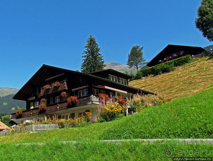 Зеленые Бернские Альпы. На поезде летом