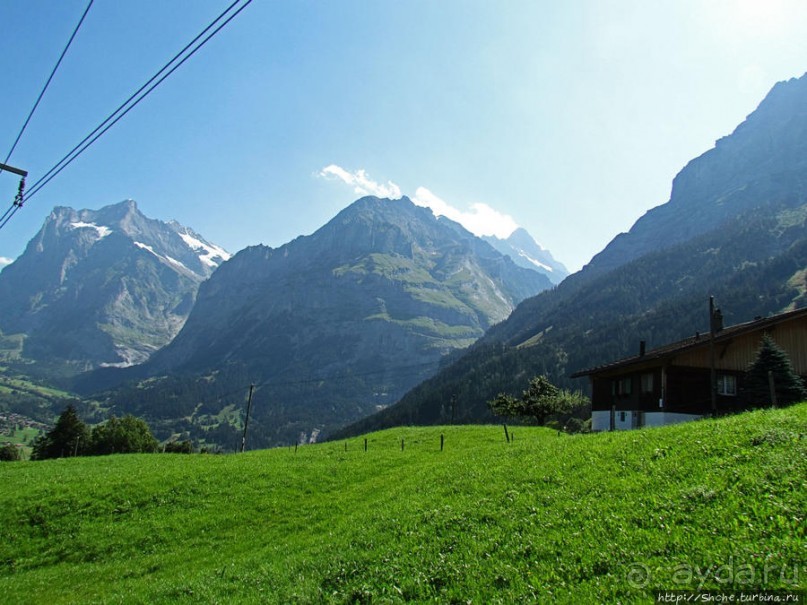 Зеленые Бернские Альпы. На поезде летом