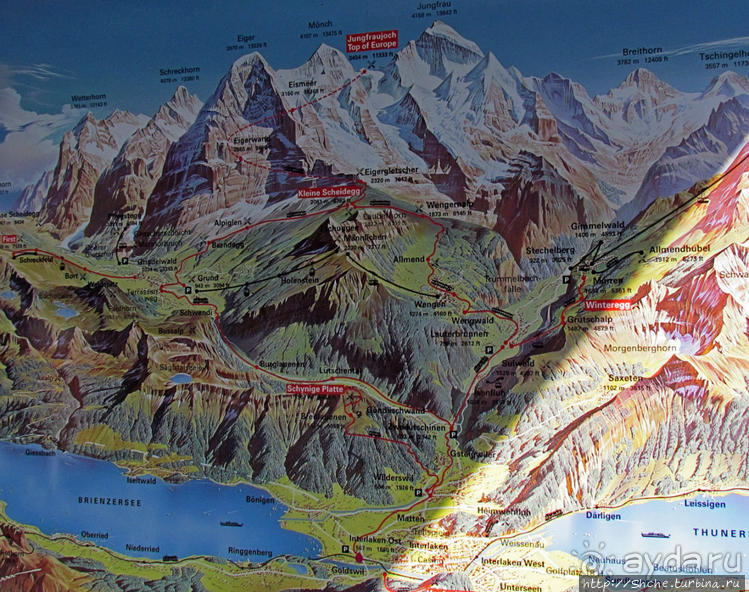 Зеленые Бернские Альпы. На поезде летом