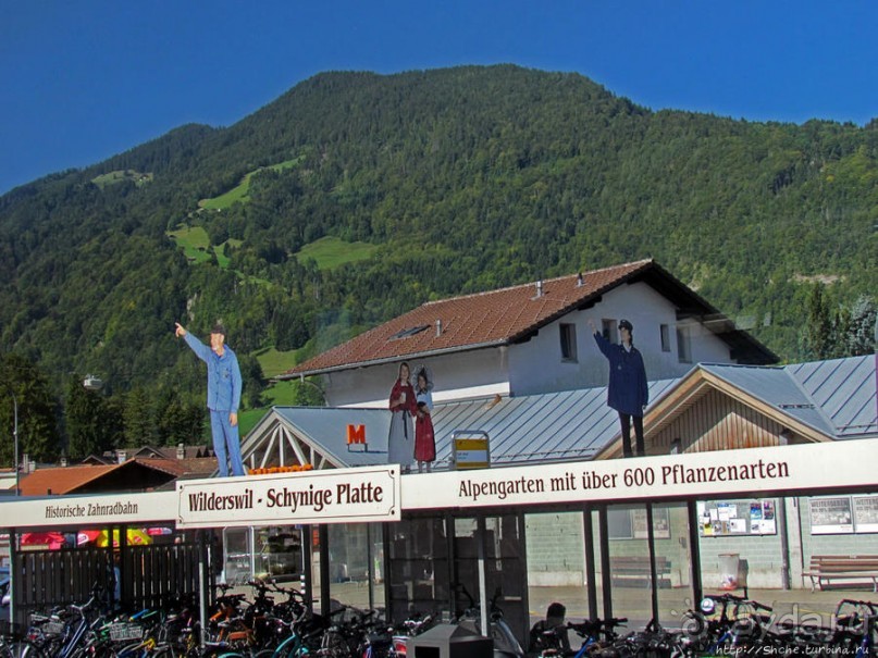 Зеленые Бернские Альпы. На поезде летом