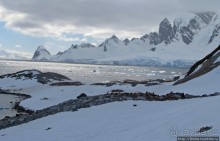 Cuverville island — здесь гнездятся пингвины